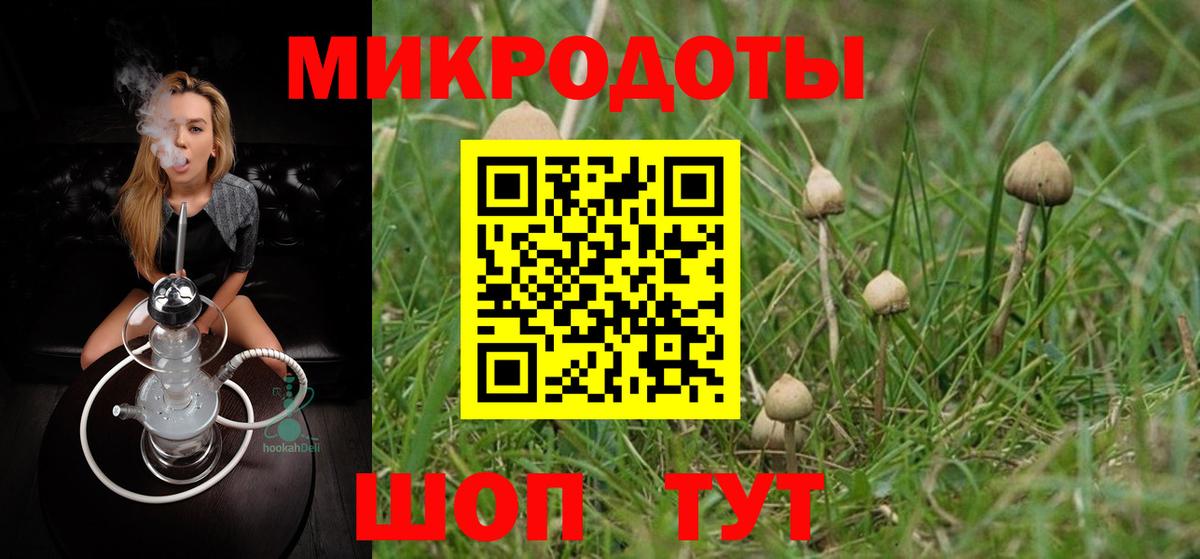 Галлюциногенные грибы мицелий Губкин